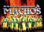 Musica de Banda Machos